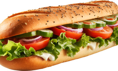 Vegetable Sandwich